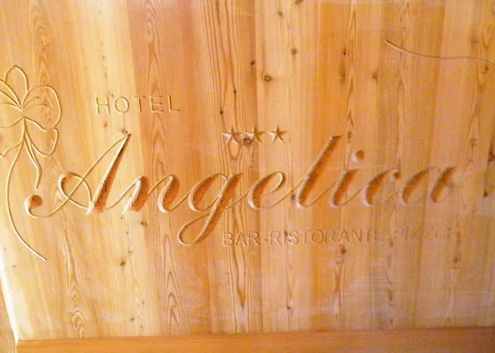 Angelica 리비뇨